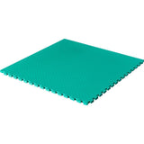 Blitz 20mm Jigsaw Mat - Martial Arts (1m x 1m) - Training / Sparring / Grappling